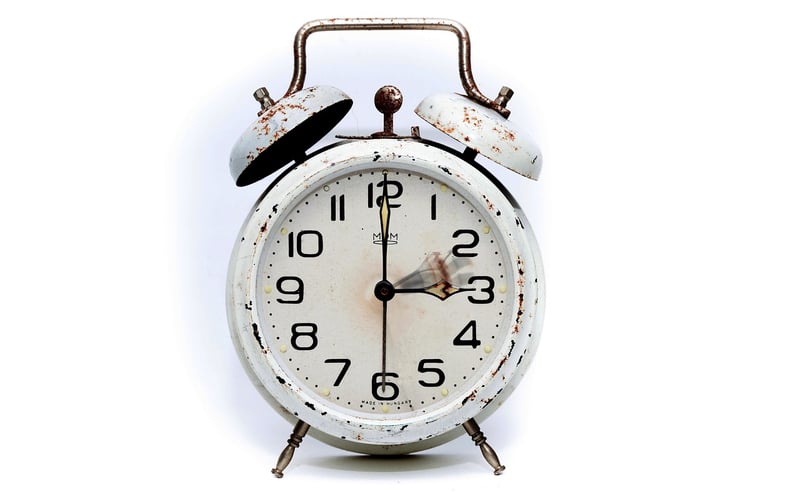 The Time Traveler